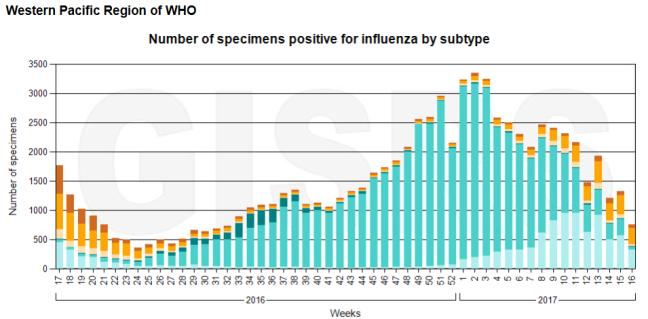 Influenza Positives Reported to WHO