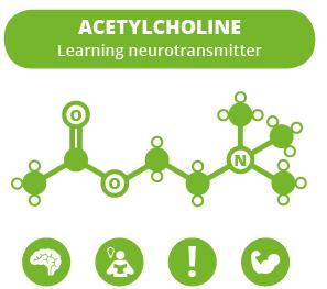 NEUROTRANSMITTERS - revision o Acetylcholine (ACh) released by many PNS neurons & some CNS Function: learning and memory; activates muscle action;