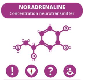 Structure: monoamine, synthesized from dopamine Released by CNS and ANS neurons Function: regulates mood, dreaming, awakening from deep sleep