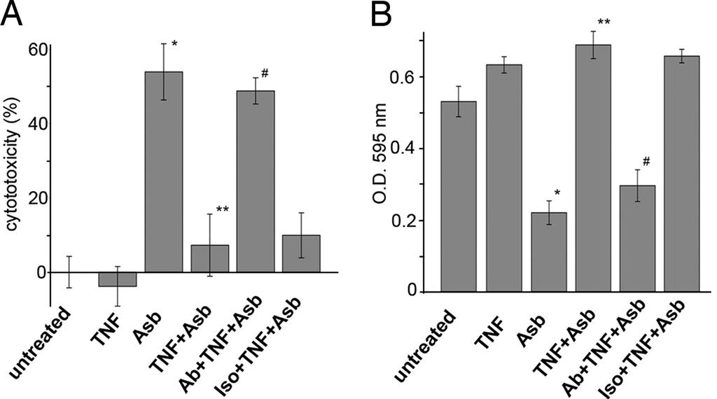 TNF-α significantly reduces asbestos cytotoxicity.