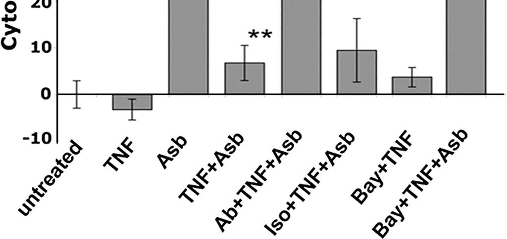 Inhibition of the NF-κB pathway by Bay11-7082 suppresses the anticytotoxicity effect induced