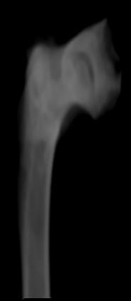 From the results using X-rays. (Fig.
