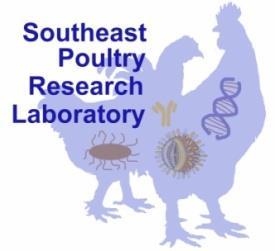 Immunogenicity of Avian Influenza