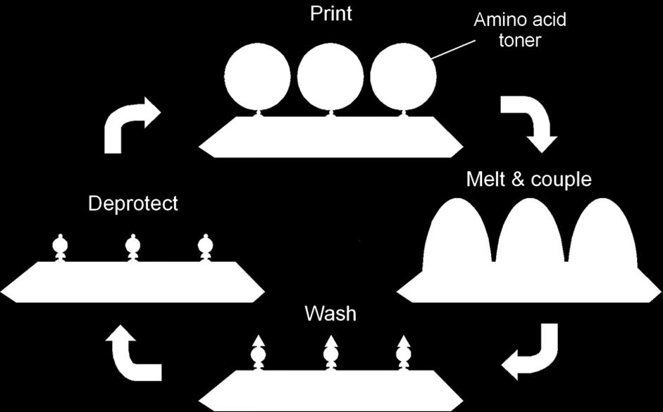 Technology Combinatorial Approach laser printing of amino