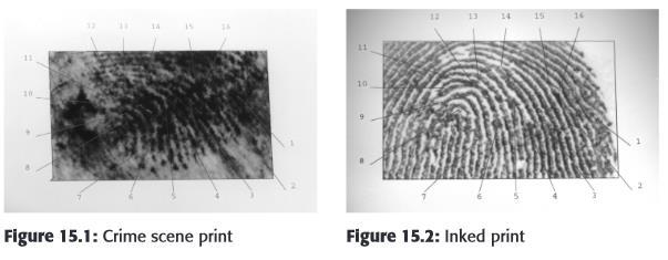 Crime Scene Forensics 16-point fingerprint match was considered to be incontrovertible evidence.
