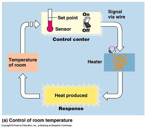 Real Life Example Regulation of Room Temperature A heater works to maintain the temperature of a room at the temperature it is set (72 F for example) As the unit runs, the temperature will rise above