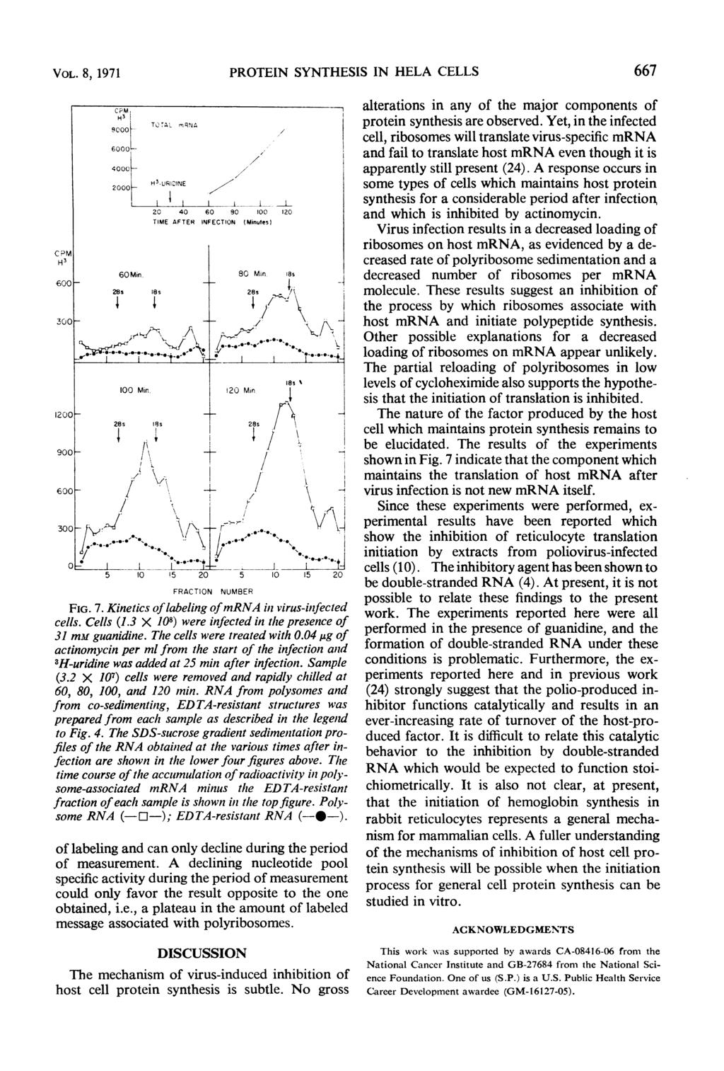 VOL. 8, 1971 O LkI-*I t 5 10!5 20 5 10 15 20 FRACTION PROTEIN SYNTHESIS IN HELA CELLS NUMBER FIG. 7. Kinetics oflabeling ofmrna in virus-infected cells. Cells (1.