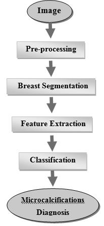 Figure (2): Flowchart of the steps of Microcalcifications Diagnosis method. 4.1.
