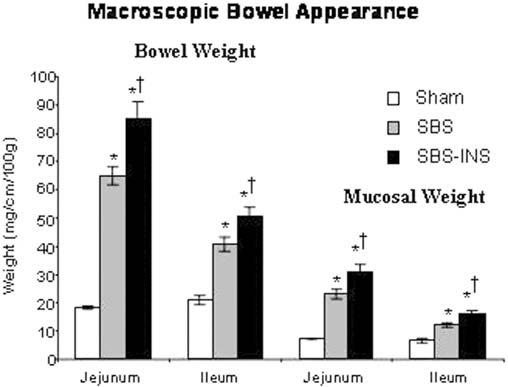 1). Bowel resection (group B) caused a significant reduction in weight during the first 4 days, followed by a gradual increase in weight during the next 10 days.
