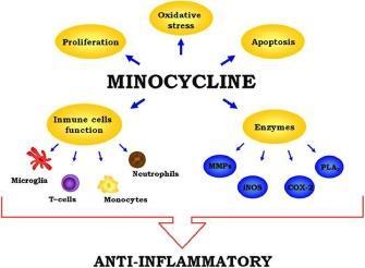 Balancing neuroinflammation Minocycline: broad-spectrum tetracycline antibiotic that cross the BBB, anti-inflammatory,