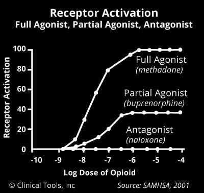At this point, the maximum possible response has been reached, and increased doses of agonist lead to respiratory depression and overdose. 3.