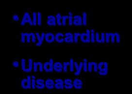 Underlying disease