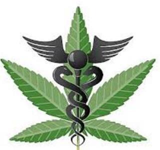 Physician s recommending medical marijuana cannot Conduct an exam using telemedicine Have