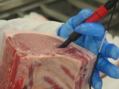 and meat quality measurements at the