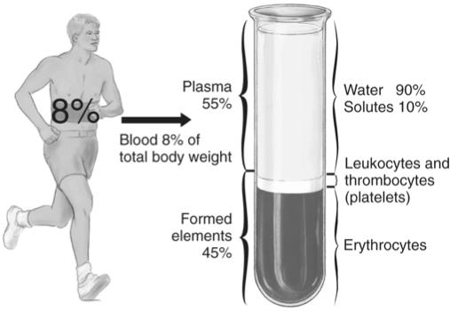 Composition of Blood From Applegate E: The anatomy and physiology learning system, ed 4, St.