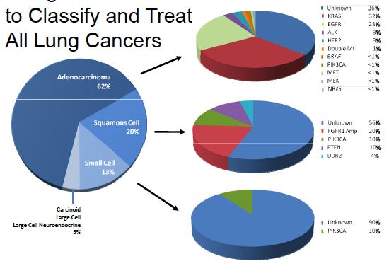 Driver Mutations to Classify Lung Cancer Unknown 36% KRAS 25% EGFR 15% ALK 4% HER2 2% Double Mut 2% BRAF 2% PIK3CA <1% MET <1% MEK <1% NRAS <1% Unknown 56% FGFR1 amp 20% PIK3CA
