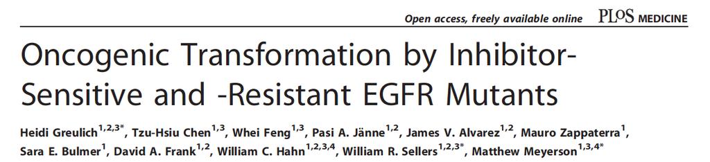 EGFR mutations are oncogenic in vitro &