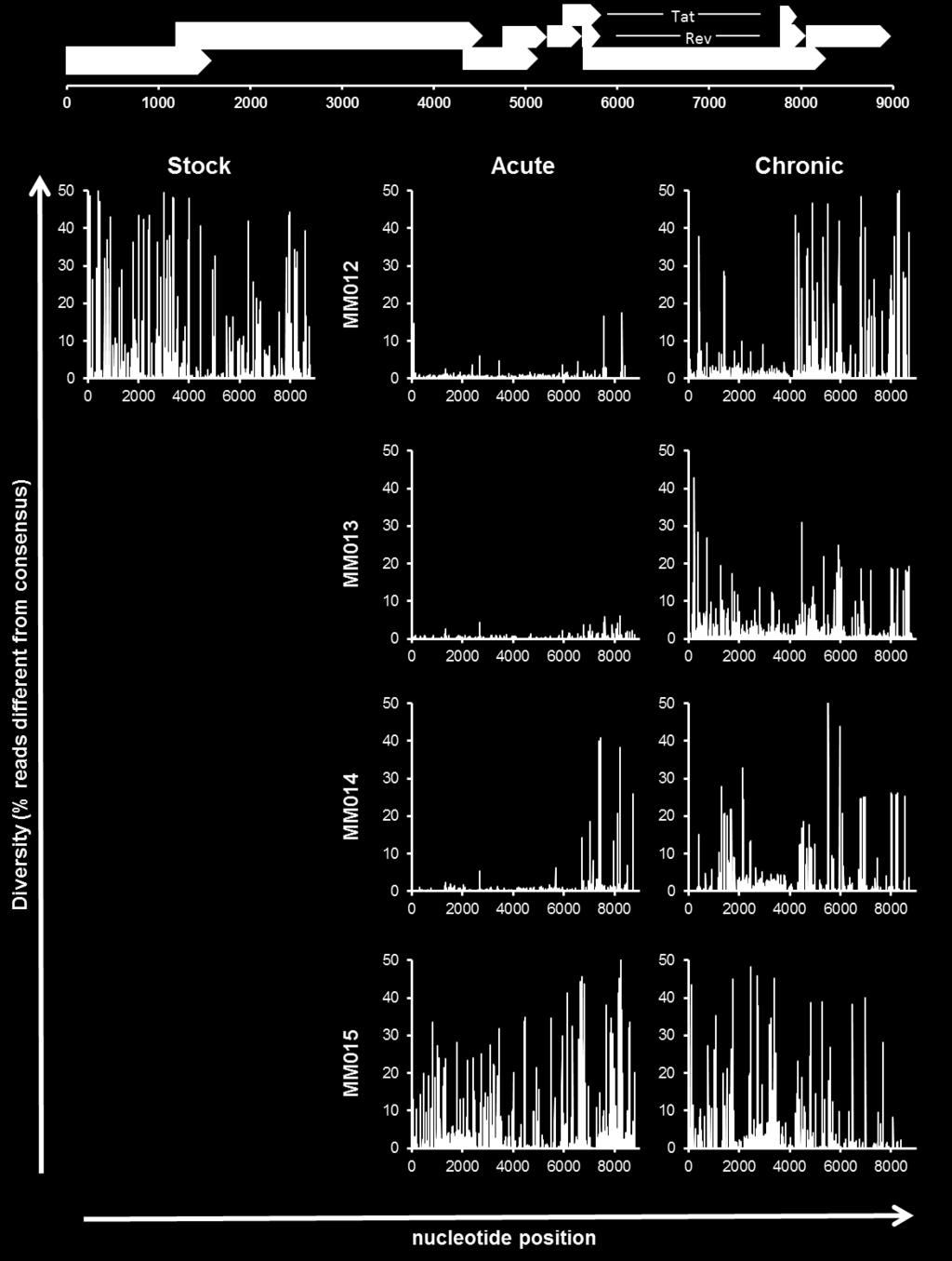 Supplemental Figure 4. Diversity of samples in SIVsmE660 cohort.