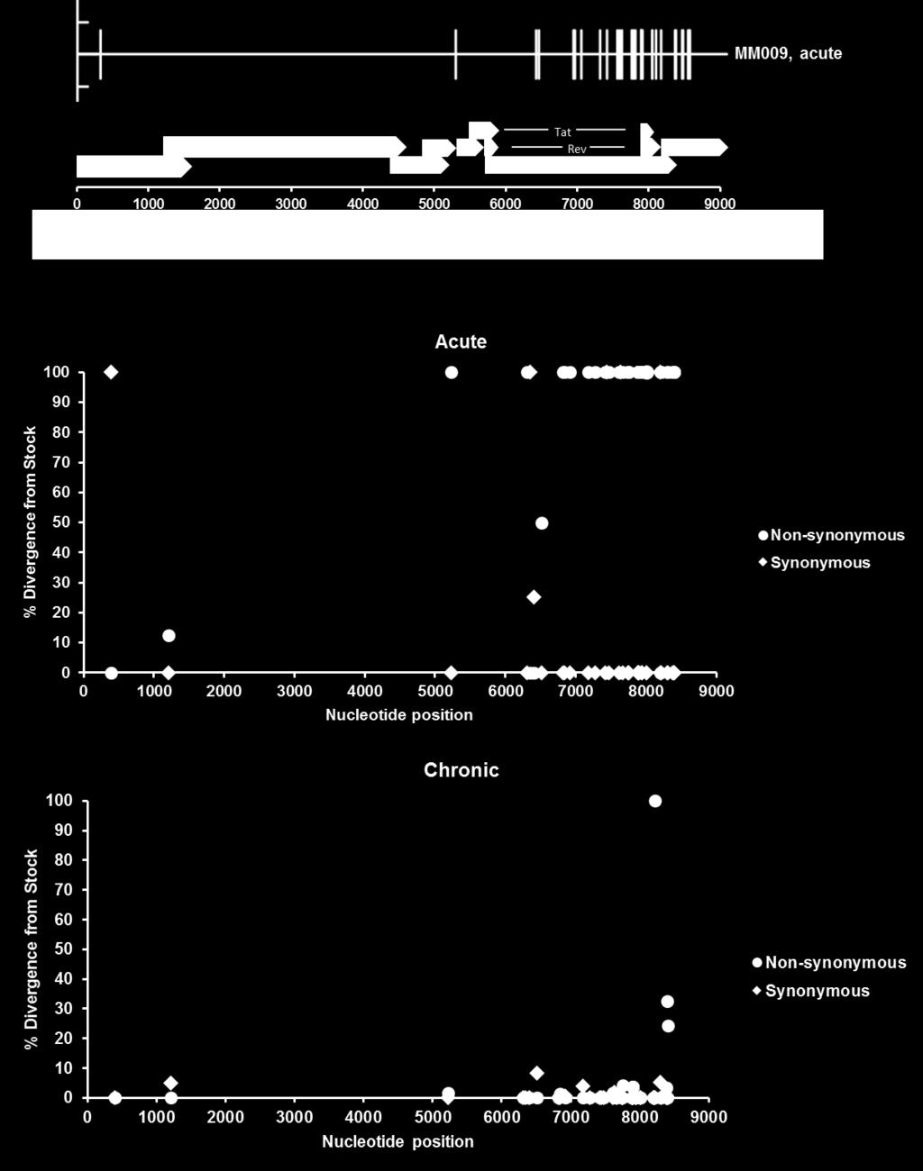 Figure 7. APOBEC3 hypermutation. Top panel: Hypermut output for SIVsmE543-infected animal MM009, acute time point.