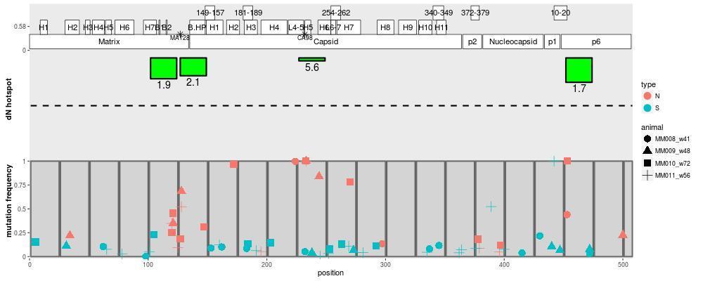 53 Figure 10. dn hotspot estimates for Gag evolution in the SIV sme543 cohort. This figure is analogous to Figure 9, but the middle panel now shows dn hotspot estimates rather than dn/ds estimates.