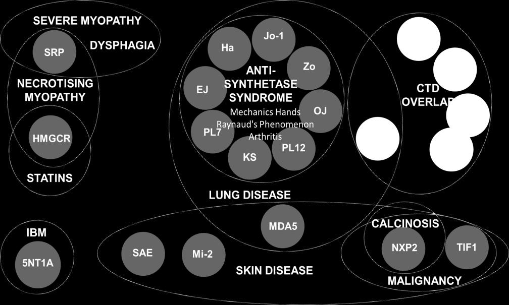 malignancy association (CAM), smoking (Jo-1 and DR3