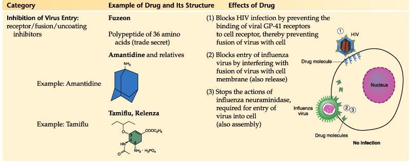 17 Antiviral drug structures