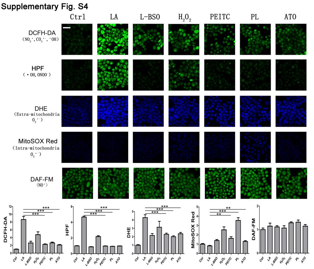 Supplementary figure S4. The composition of ROS in Bcap37 cells induced by LA, PEITC, PL, L-BSO, hydrogen peroxide, or ATO.