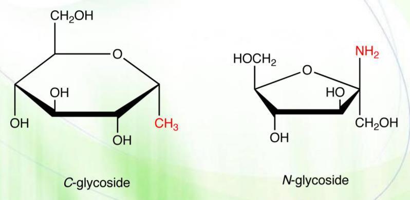 Amino sugars: How it differs from N-glycosides: the amino group is NOT on the anomeric carbon (this means that anomeric carbon is essentially involved in the