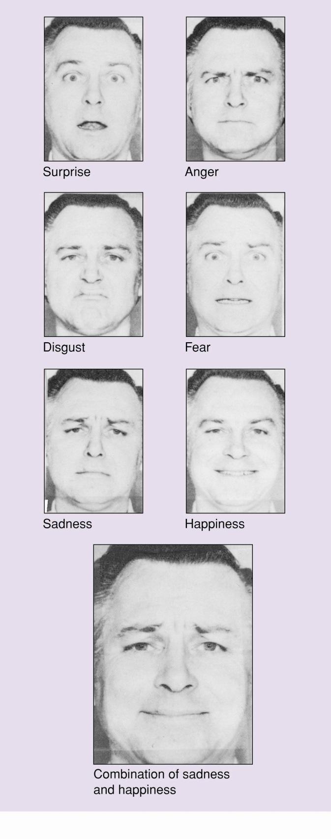 Emotions and Facial Expression The meanings of facial
