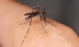 Insect Bites (cont) Malaria If using sunscreen always apply first, followed by an insect repellent spray on top.