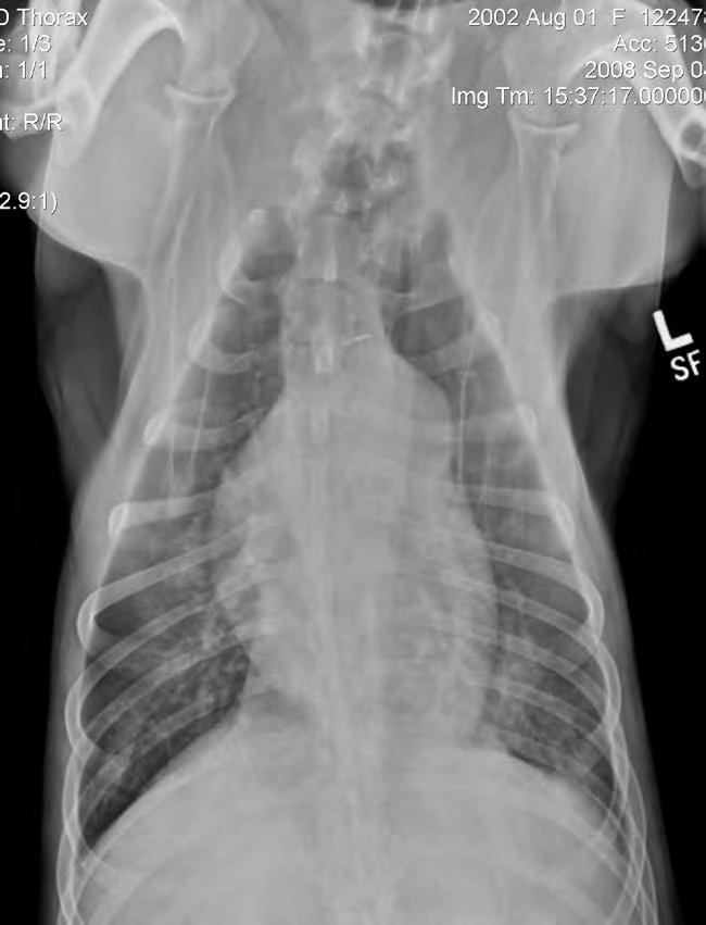 Gross Radiographic Findings Anatomic Description Area or Volume Involved Defines disease