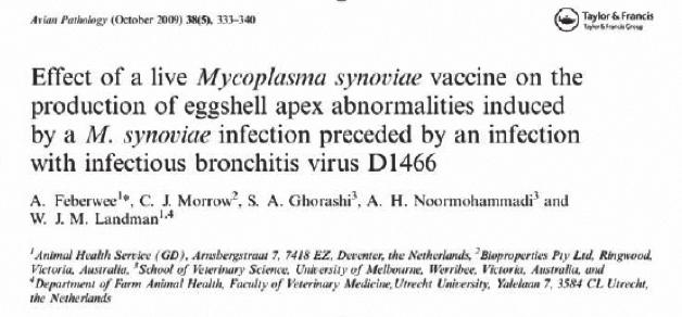 8= *Newton Mechanisms of Immunity Not fully understood - Not humoral antibody Birds with no humoral antibody can be immune - Not competitive exclusion Predicted that Ms-H vaccine needs to colonize