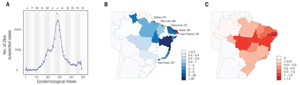 Time series and cartography of reported ZIKV infections and microcephaly cases in Brazil Weekly ZIKV notifications in 5596 municipalities in Brazil (n=2791