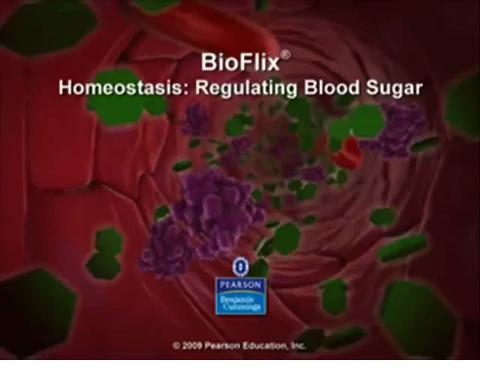 Glucose Homeostasis Homeostasis : body s tendency