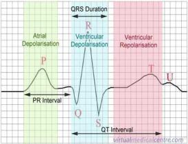 P wave Depolarization of atria Followed by contraction QRS complex 3 waves (Q, R, & S) Depolarization of ventricles Followed by contraction T wave