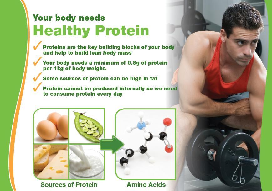 How much protein do you need