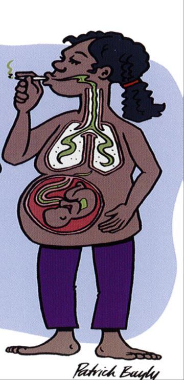 Cannabis & pregnancy The chemicals from the drug goes through the mother s blood into the baby s brain and body.