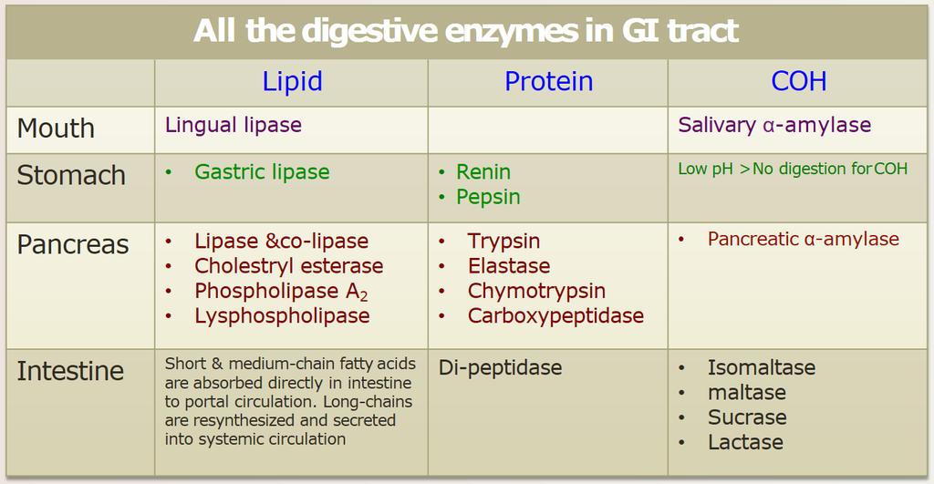 Abnormality in protein digestion: Celiac Disease (Celiac sprue) Slide 13 It is a disease
