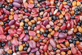 Beans A study out of Michigan State University found that black and navy beans significantly reduced colon cancer incidence in rats, in part because a diet rich in the legumes increased levels of the