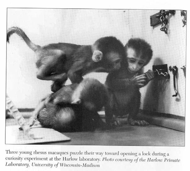 Curiosity in Rhesus Monkeys Harlow (1953) Thorndike: Laws of Readiness, Effect