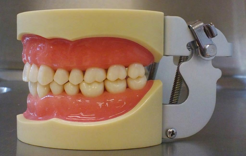 Program outline Dental technicians work in a dental laboratory and fabricate both fixed and removable prosthesis for the mouth.