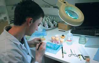 SCHOOL OF DENTAL SCIENCE/ POSTGRADUATE PROSPECTUS POSTGRADUATE DIPLOMA IN CLINICAL DENTAL TECHNOLOGY Duration: 18 months, part-time. Course Director: Dr Brendan Grufftery E-mail: Brendan.