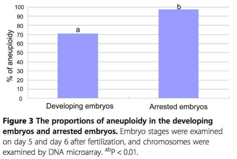 embryo selection and the vast majority