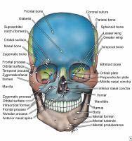 plastic surgeons, otolaryngologists, oral surgeons, and opthalmologists all laying claim to aspects of facial trauma (and often overlapping one another).