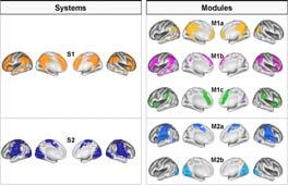 Brain Regions Active During Attention M1a: Default Mode Network Spontaneous thought M1b: