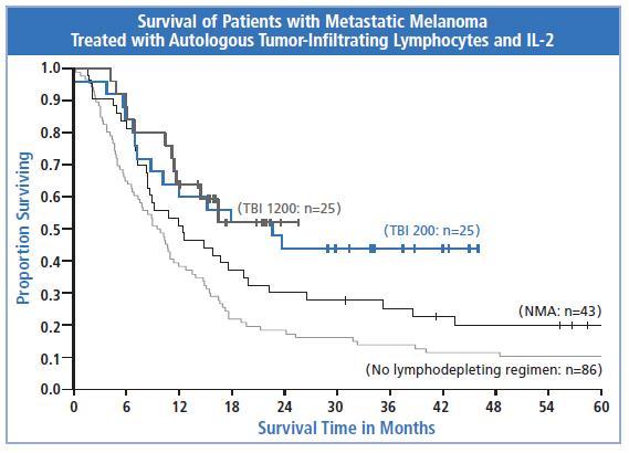 Survival of patients with metastatic melanoma treated with autologous tumor-infiltrating lymphocytes and IL-2 : Cross-clonal targeting and modification of