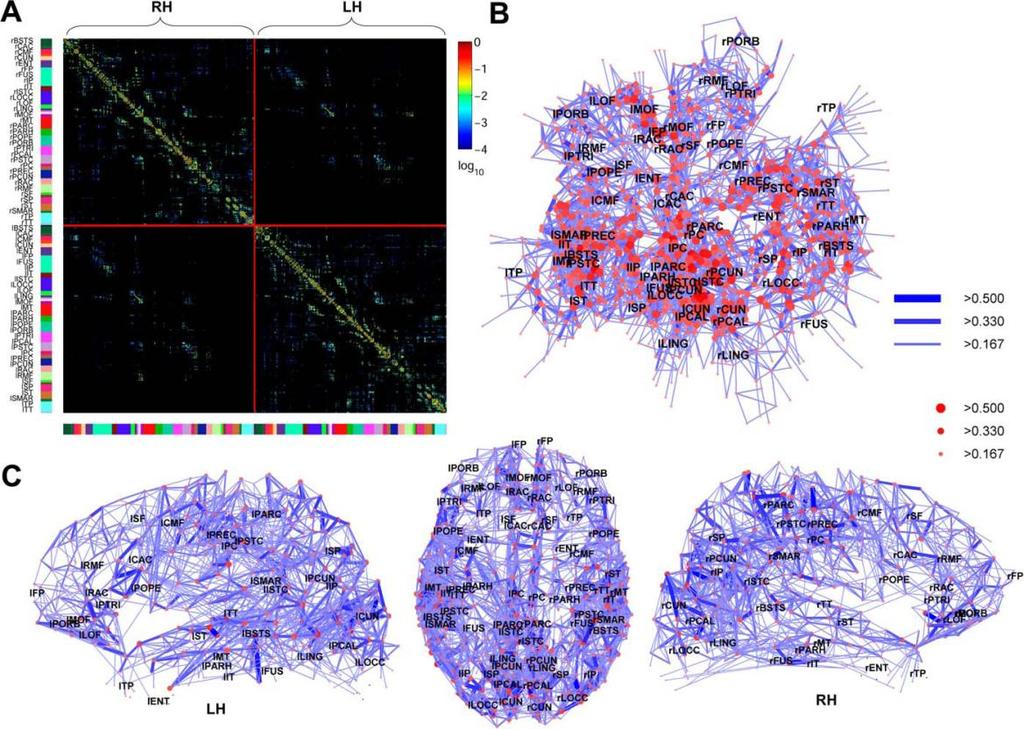 Anatomical Networks The anatomical structure of Human Brain: Exponential (not scale-free) degree distribution (note that there are 66 subregions