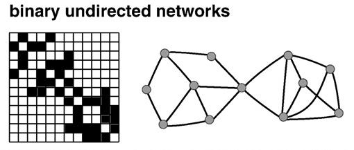 results Functional networks are not