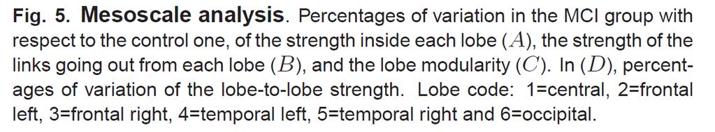 intra-lobe synchronization increases The inter-lobe synchronization increases (more than the