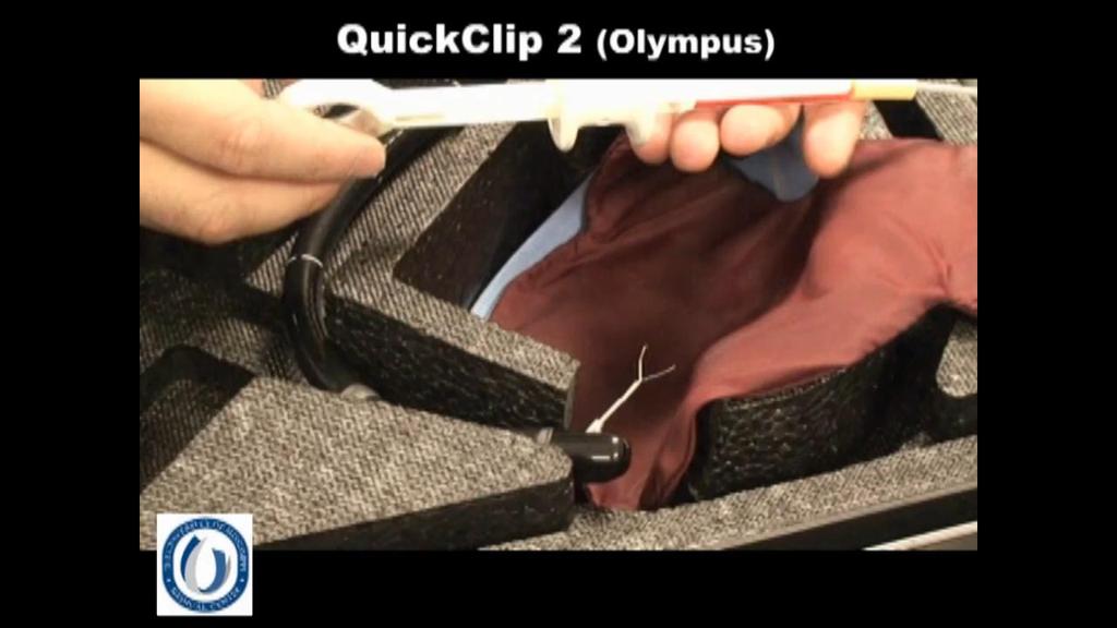 Instinct clips and QuickClip 2 rotate well Surgical Endoscopy, January